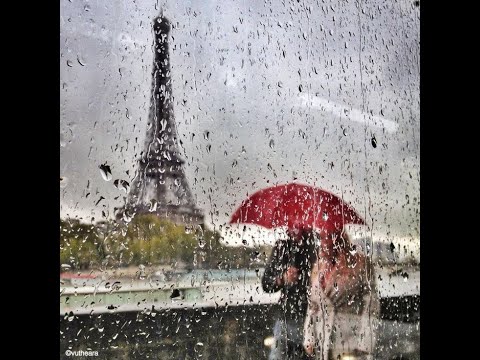 Видео: Каштановый Париж