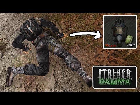 Видео: НЕРЕАЛЬНО ПОВЕЗЛО. STALKER Anomaly GAMMA #14