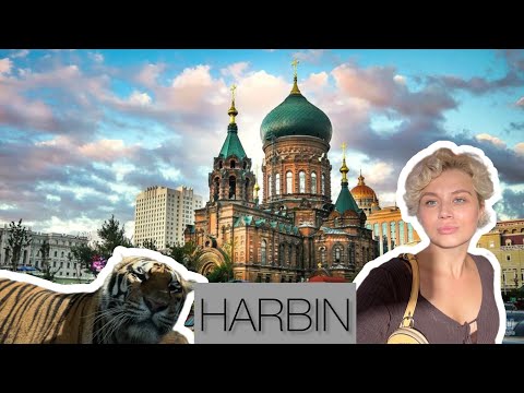 Видео: Харбин 2025 | В Харбин через Суйфэньхэ | Парк тигров
