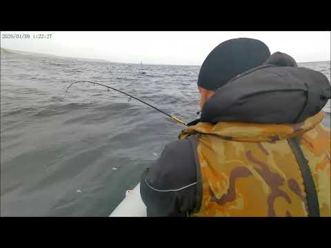 Видео: СУДАК в отвес на РАТЛИН  ВОЛГА осень 2020