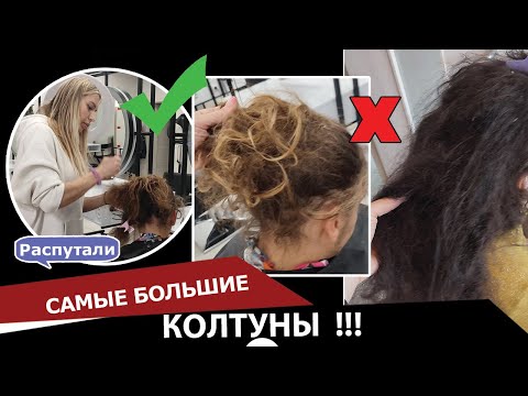 Видео: Самые ужасные колтуны в мире - распутали!!!