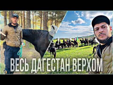Видео: КОННЫЙ  ПОХОД В ДЕРБЕНТ.более 500км май 2025г. Часть 1.