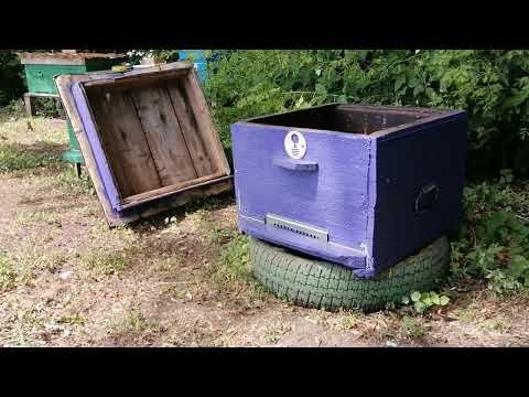 Видео: ПОЙМАЛ ВТОРОЙ РОЙ 2023 ГОДА. РОЕЛОВСТВО 2023. БРОДЯЧИЕ РОИ