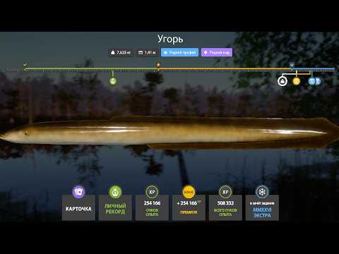 Видео: НОВЫЕ ФАРМЫ СЕРЕБРА и РАЗДАЧИ ТРОФЕЕВ! СВОДКА по ВОДОЁМАМ на 08.02 в Русской Рыбалке 4! РР4