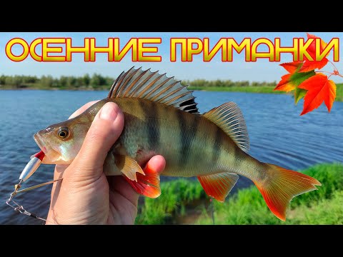 Видео: Осенние приманки на ОКУНЯ и ЩУКУ.