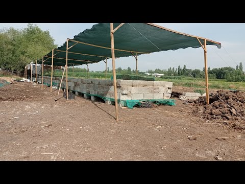 Видео: Биогумусту сапаттуу жана тез даярдаш жолу