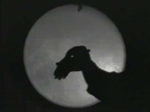 Видео: Тени "Пластилиновая ворона" mag.itsmagic.ru Shadow Show