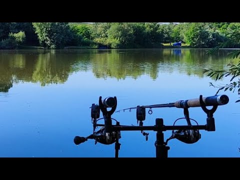 Видео: Рыбалка. Ессентуки «Клёвое место» 24.06.2023