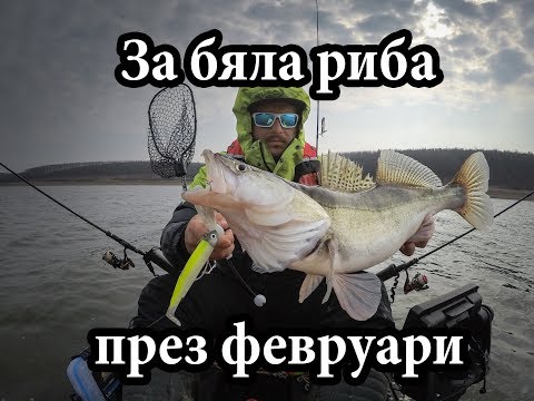 Видео: Риболов на бяла риба на язовир Ястребино 2