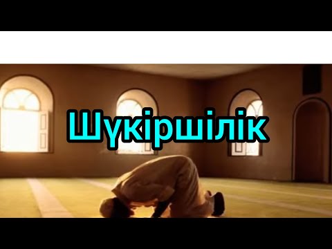 Видео: Шүкіршілік. Аллаға шүкір