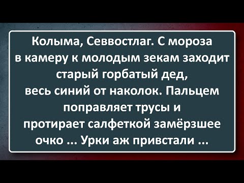 Видео: Горбатый с Колымы! Подборка Лучших Анекдотов Синего Предела