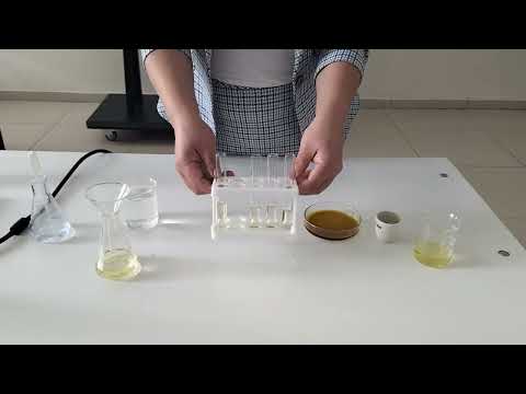 Видео: Зертханалық жұмыс "Өттің әсерінен майлардың эмульсиялануы үдерісін зерттеу"
