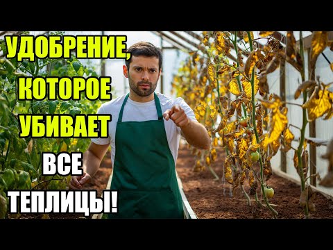 Видео: Опасное удобрение, которое уничтожает теплицы! Почему я никогда не использую хлорные смеси
