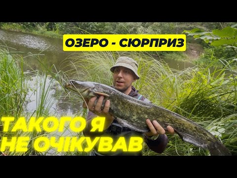 Видео: ❗️Знайшов дике озеро зі ЩУКАМИ❗️Але уклепав справжній МОНСТР❗️