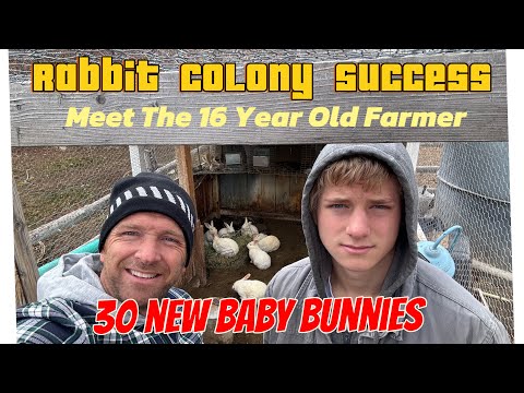 Видео: Успех кроличьей колонии с моим 16-летним сыном. Крольчата повсюду.