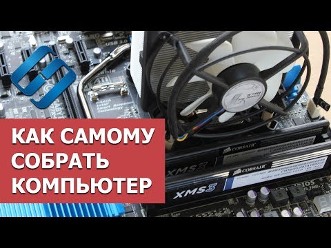 Видео: Как собрать ⚙️ компьютер самому в 2021: установка материнки, процессора, видео карты, RAM, SSD