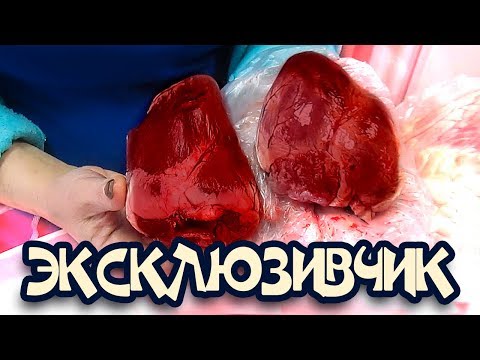Видео: Ливер. Язык, сердце, печень, почки.