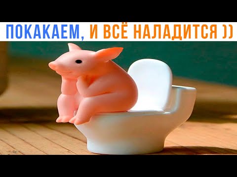 Видео: ПУ-ПУ-ПУ ))) Приколы | Мемозг 1485