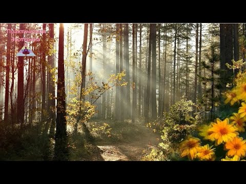 Видео: Как правильно сотворить большие деньги ✵ Эмоции создания денег Эстер и Джерри Хикс Закон Притяжения