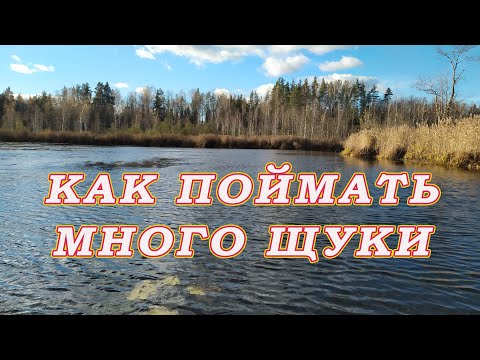 Видео: Как поймать много щуки!  ТЕХНИКА ЛОВЛИ ЩУКИ в траве!