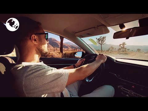 Видео: Америка. Джошуа Три это MUST SEE в Калифорнии! | Ищем секретную долину в пустыне Мохаве