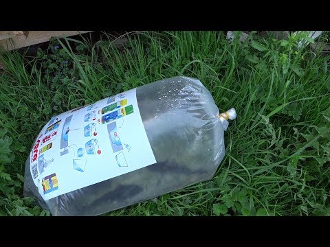 Видео: Зарыбление пруда карпом (12.05.2019)