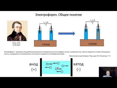 Видео: Электрофоретические методы исследования в молекулярной биологии. Часть 1. Электрофорез ДНК