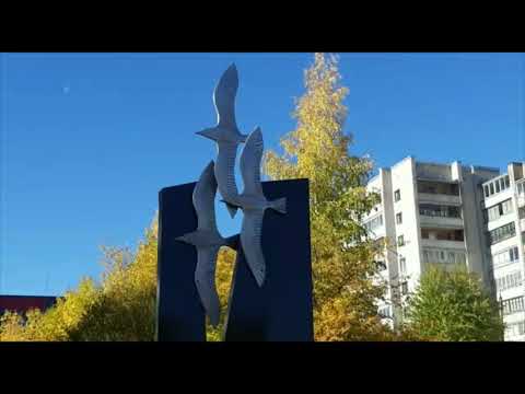 Видео: Золотая осень в Карелии, прогулка по городу Сегежа.