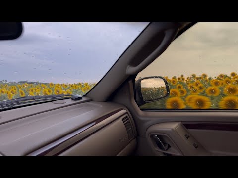 Видео: Набор кілець. Як розпізнати , що на глушнику пропало кільце на 2,7 WJ. +