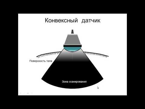 Видео: Введение в УЗД.Ориентация и типы датчиков