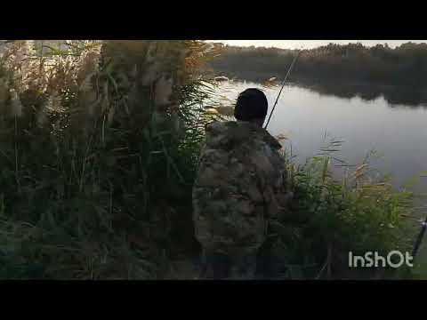 Видео: Арнасай  дюкер пост