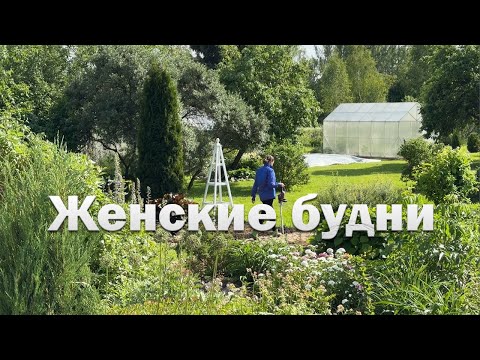 Видео: Создаю сад мечты на 40 сотках // Большая экскурсия по саду и огороду // женские будни