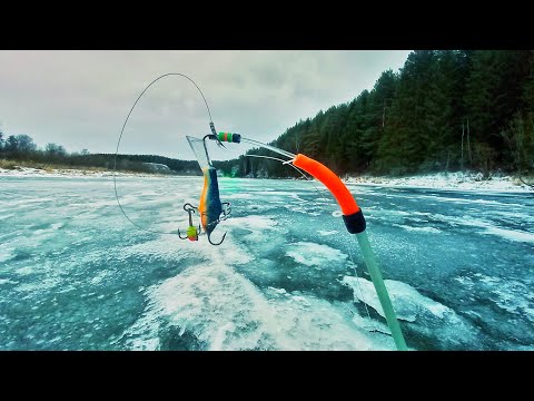Видео: СТО ЛУНОК НАДЕЖДЫ, РЫВОК ЗА ОКУНЕМ БЕЗМОТЫЛКА