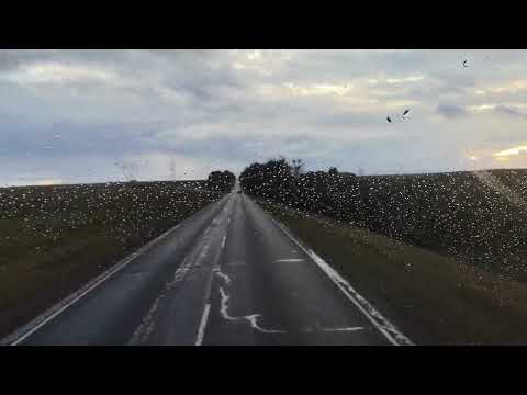 Видео: Закаты