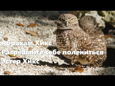 Видео: Абрахам Хикс – Разрешайте себе полениться – Эстер Хикс