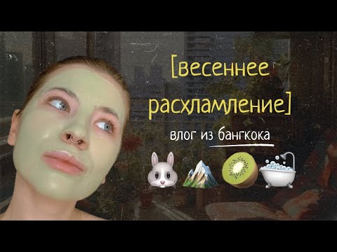 Видео: влог из бангкока: весеннее расхламление // уборка