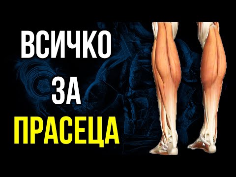 Видео: ПРАСЕЦ и АХИЛЕС- Мускули, функции, мобилност, упражнения и стречинг