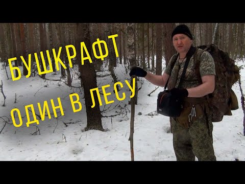 Видео: ОДИН В ЛЕСУ | Бушкрафт | Лесные походы | Обустройство стоянки