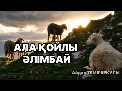 Видео: АЛА ҚОЙЛЫ ӘЛІМБАЙ