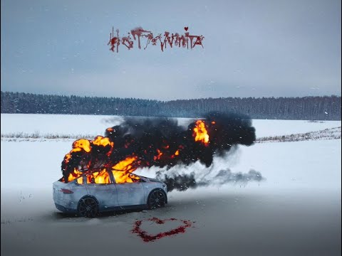 Видео: HOFMANNITA - КАНИСТРА (Official Music Video)