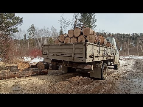 Видео: Трактор и Газель на заготовке дров