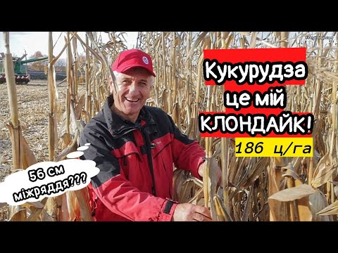 Видео: Як ювелір став фермером😳 Кукурудза на 56см - клондайк! Важко бути першим! Сівалка Horsch Maestro 11