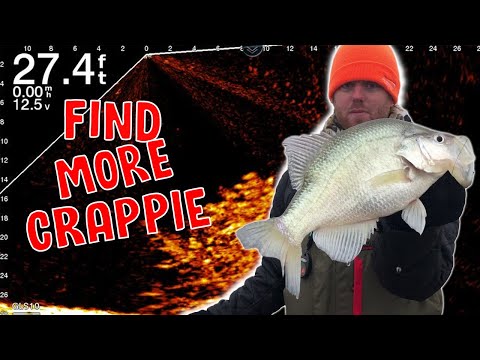 Видео: Поиск куч краппи с помощью LIVESCOPE | Ловля краппи 2022