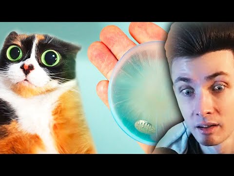 Видео: ХЕСУС СМОТРИТ: ВОТ ЧТО МЫ КУПИЛИ НА ALIEXPRESS