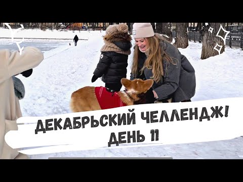 Видео: Декабрьский челлендж: день 11! Желание папы. Фотосессия с корги. Загородный дом.