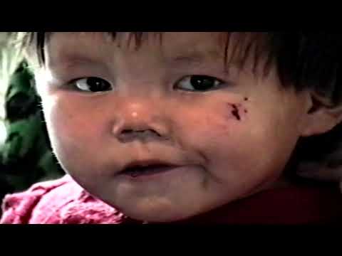 Видео: 1) Поселок "Советская речка" и его обитатели; 2) Туруханский край, люди и их языки (переоцифровка)