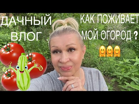 Видео: 🌻Дачный влог! Мой огородик! Что посадила? Что взошло? Живая вода, живая земля, живой воздух🤗 Vlog!