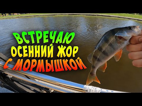 Видео: Мормышинг ранней осенью | Рыбалка в городе на реке.