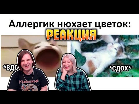 Видео: Аллергик нюхает цветок: 1 - *Вдох* , 2 - *Сдох* | РЕАКЦИЯ НА @Max Maximov |