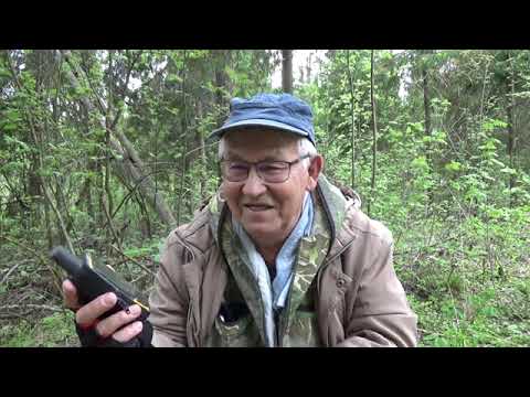 Видео: ПРОГУЛКА ПО ЛЕСУ   ГРИБЫ   НАВИГАТОР   гармин 64